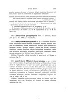 giornale/UFI0040156/1910/unico/00000225