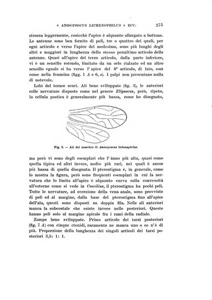 Redia giornale di entomologia pubblicato dalla R. Stazione di entomologia agraria