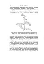 giornale/UFI0040156/1910/unico/00000310