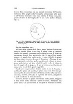 giornale/UFI0040156/1910/unico/00000314