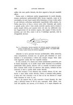 giornale/UFI0040156/1910/unico/00000320