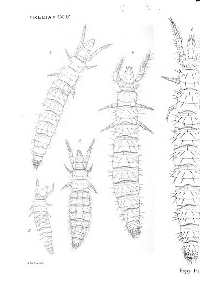 Redia giornale di entomologia pubblicato dalla R. Stazione di entomologia agraria