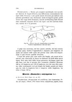 giornale/UFI0040156/1912/unico/00000194