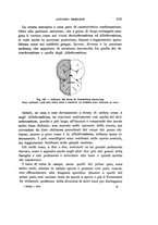 giornale/UFI0040156/1912/unico/00000235