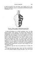 giornale/UFI0040156/1912/unico/00000259