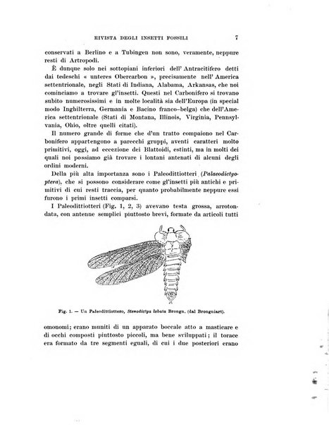 Redia giornale di entomologia pubblicato dalla R. Stazione di entomologia agraria