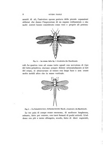 Redia giornale di entomologia pubblicato dalla R. Stazione di entomologia agraria