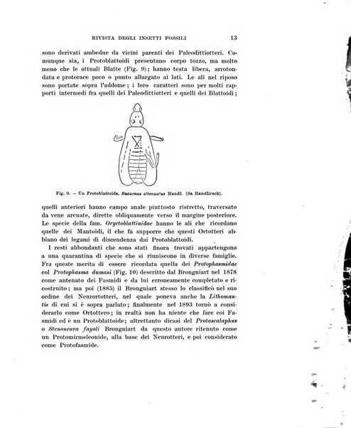 Redia giornale di entomologia pubblicato dalla R. Stazione di entomologia agraria