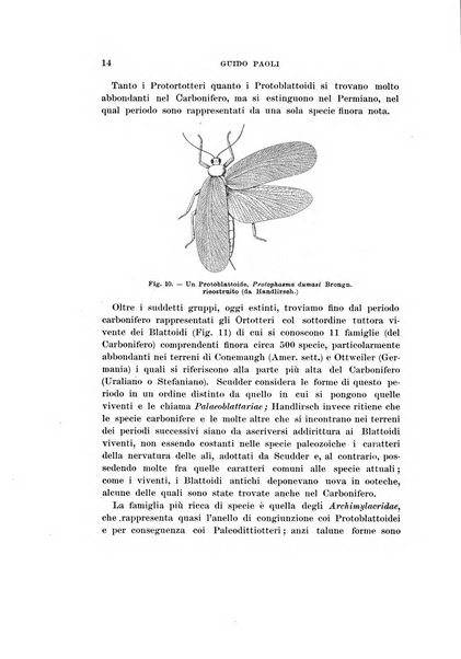 Redia giornale di entomologia pubblicato dalla R. Stazione di entomologia agraria