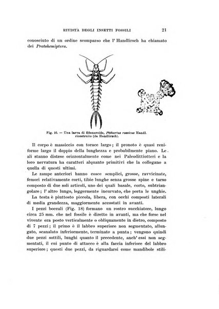 Redia giornale di entomologia pubblicato dalla R. Stazione di entomologia agraria