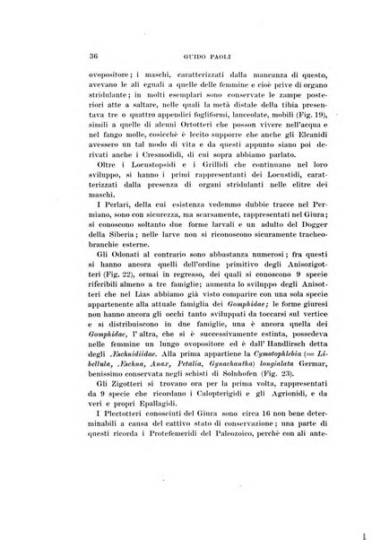 Redia giornale di entomologia pubblicato dalla R. Stazione di entomologia agraria