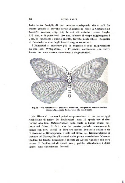 Redia giornale di entomologia pubblicato dalla R. Stazione di entomologia agraria