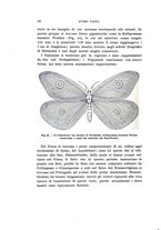 giornale/UFI0040156/1914/unico/00000050