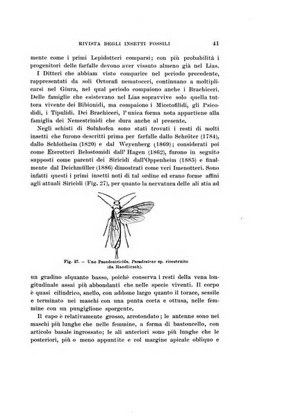 Redia giornale di entomologia pubblicato dalla R. Stazione di entomologia agraria