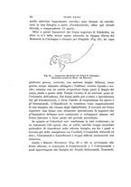 giornale/UFI0040156/1914/unico/00000054