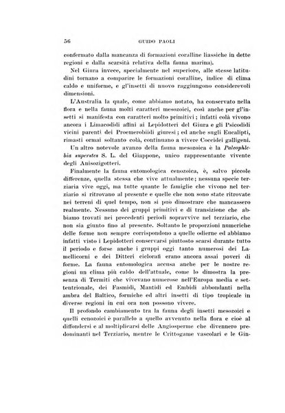 Redia giornale di entomologia pubblicato dalla R. Stazione di entomologia agraria