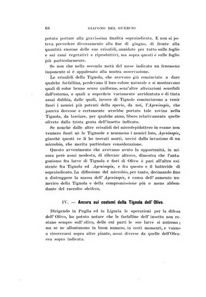 Redia giornale di entomologia pubblicato dalla R. Stazione di entomologia agraria