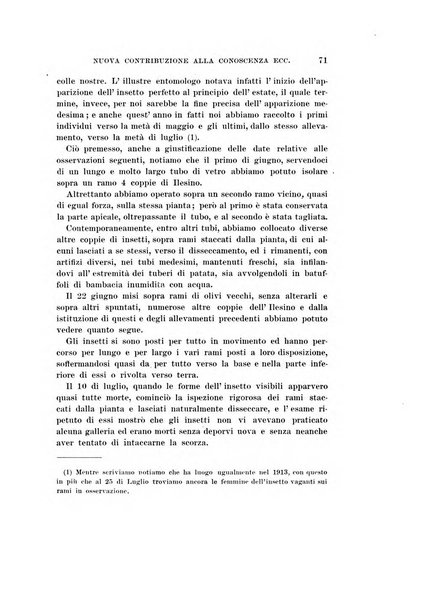 Redia giornale di entomologia pubblicato dalla R. Stazione di entomologia agraria