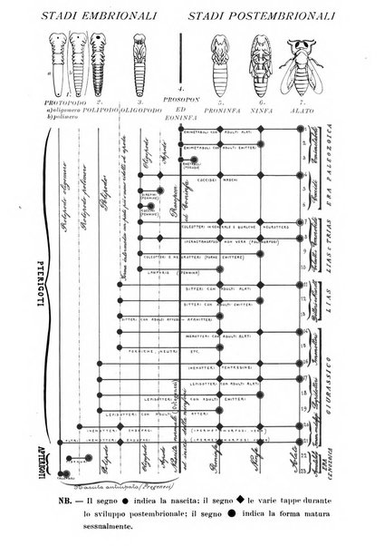 Redia giornale di entomologia pubblicato dalla R. Stazione di entomologia agraria