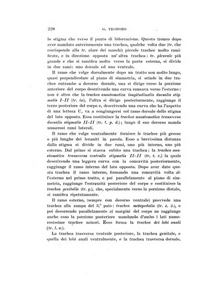 Redia giornale di entomologia pubblicato dalla R. Stazione di entomologia agraria