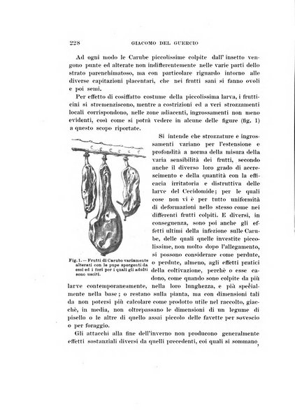 Redia giornale di entomologia pubblicato dalla R. Stazione di entomologia agraria