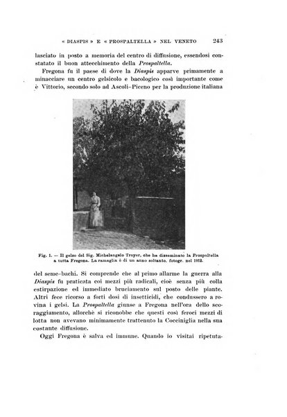 Redia giornale di entomologia pubblicato dalla R. Stazione di entomologia agraria