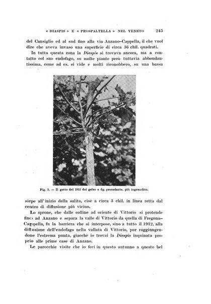 Redia giornale di entomologia pubblicato dalla R. Stazione di entomologia agraria