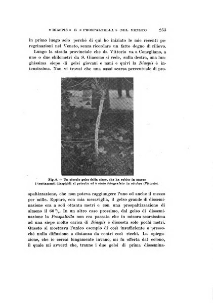 Redia giornale di entomologia pubblicato dalla R. Stazione di entomologia agraria