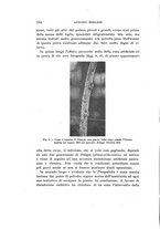 giornale/UFI0040156/1914/unico/00000268