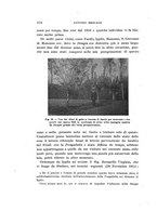 giornale/UFI0040156/1914/unico/00000284