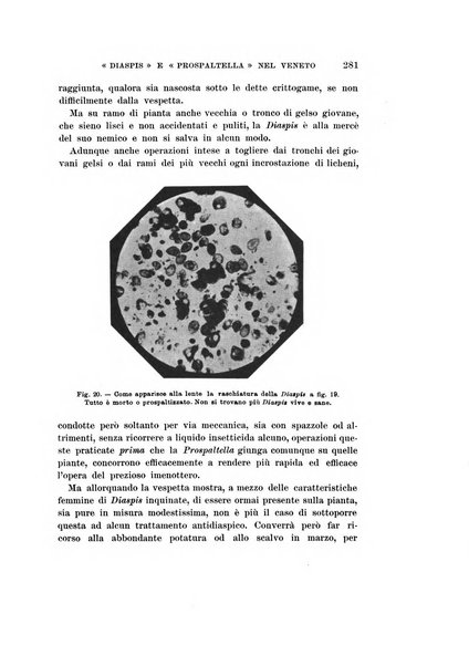 Redia giornale di entomologia pubblicato dalla R. Stazione di entomologia agraria