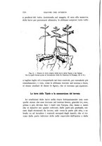 giornale/UFI0040156/1914/unico/00000332