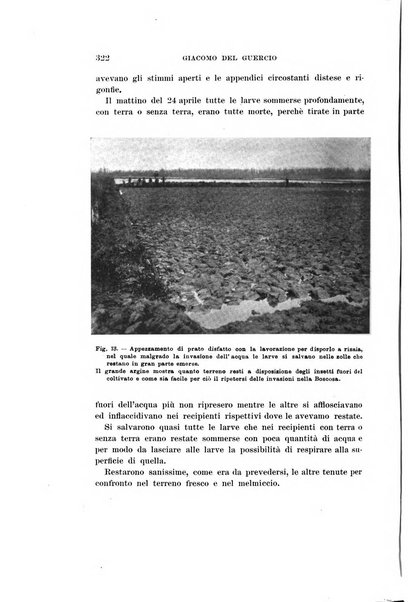 Redia giornale di entomologia pubblicato dalla R. Stazione di entomologia agraria