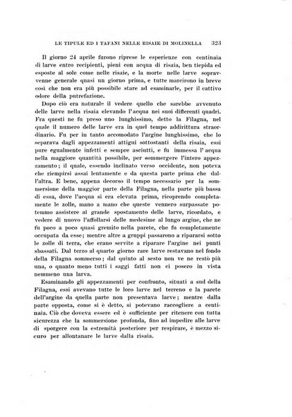 Redia giornale di entomologia pubblicato dalla R. Stazione di entomologia agraria