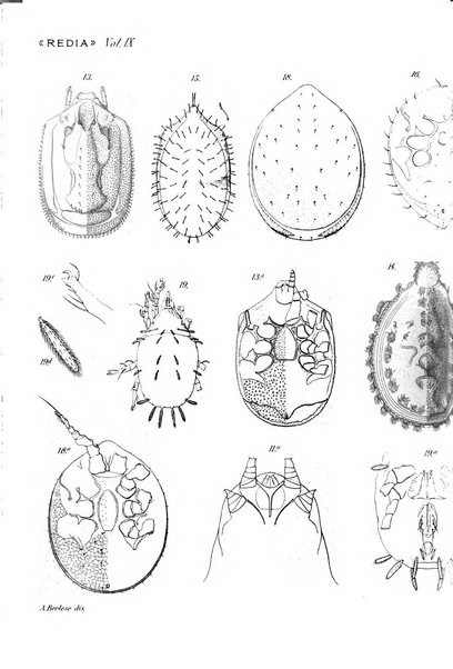 Redia giornale di entomologia pubblicato dalla R. Stazione di entomologia agraria