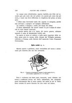 giornale/UFI0040156/1915/unico/00000258