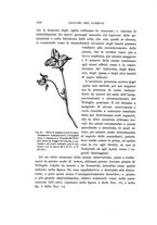 giornale/UFI0040156/1915/unico/00000290