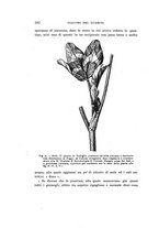 giornale/UFI0040156/1915/unico/00000292