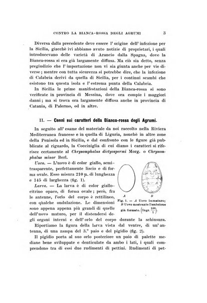 Redia giornale di entomologia pubblicato dalla R. Stazione di entomologia agraria