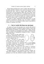 giornale/UFI0040156/1916/unico/00000013