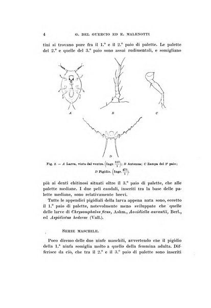 Redia giornale di entomologia pubblicato dalla R. Stazione di entomologia agraria