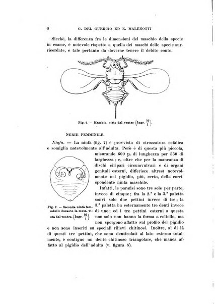 Redia giornale di entomologia pubblicato dalla R. Stazione di entomologia agraria