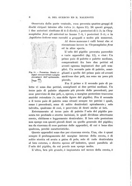 Redia giornale di entomologia pubblicato dalla R. Stazione di entomologia agraria