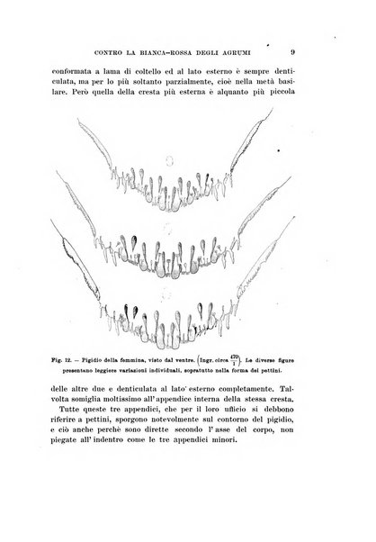 Redia giornale di entomologia pubblicato dalla R. Stazione di entomologia agraria