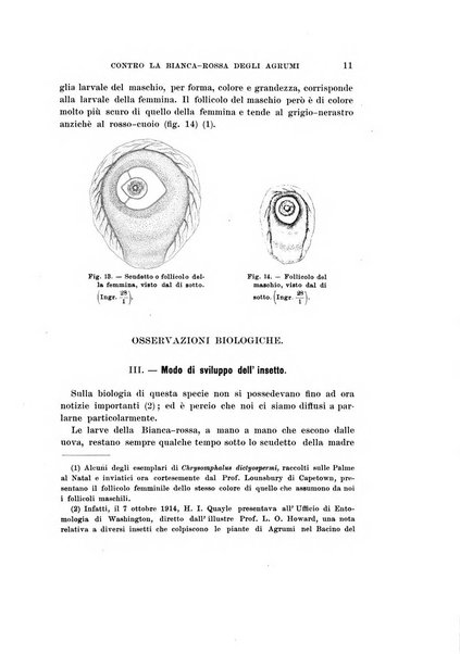 Redia giornale di entomologia pubblicato dalla R. Stazione di entomologia agraria