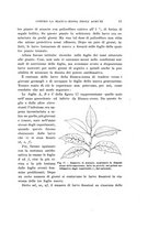 giornale/UFI0040156/1916/unico/00000061