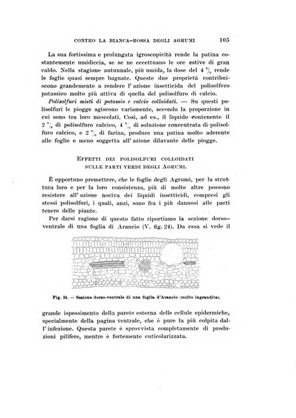 Redia giornale di entomologia pubblicato dalla R. Stazione di entomologia agraria