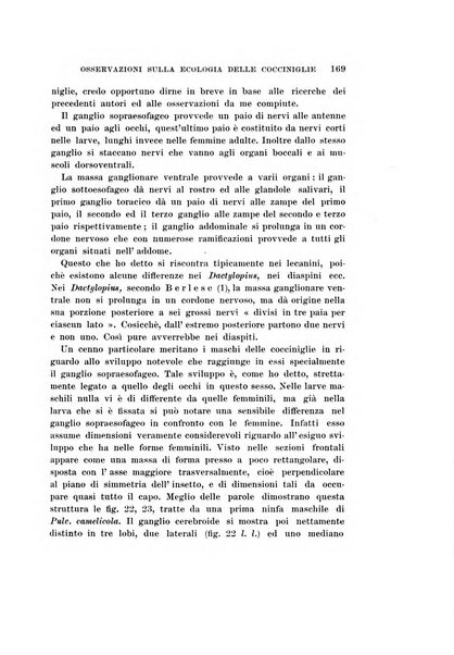 Redia giornale di entomologia pubblicato dalla R. Stazione di entomologia agraria