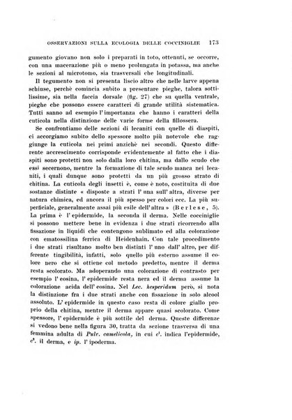 Redia giornale di entomologia pubblicato dalla R. Stazione di entomologia agraria