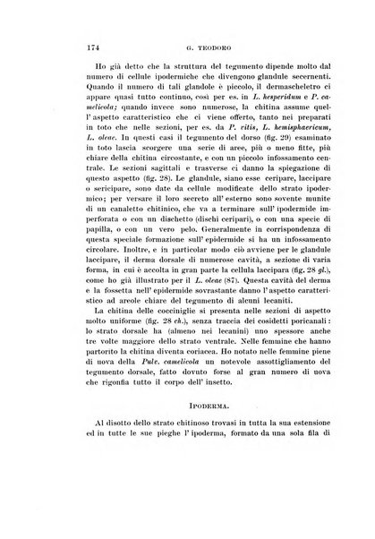 Redia giornale di entomologia pubblicato dalla R. Stazione di entomologia agraria